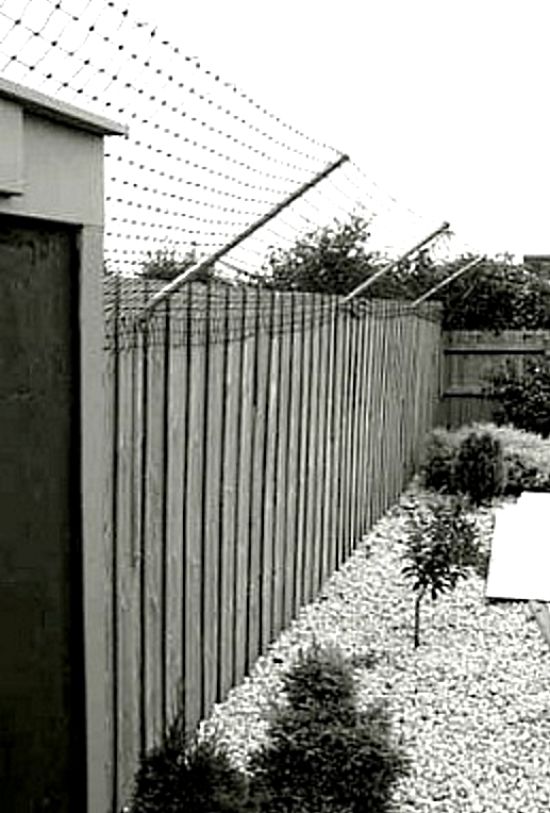 The angled flexible netting is the best cat-proof fence, but it has to be properly designed and more than 1.8 m high so that cats cannot leap over the entire fence. This design is widely used to stop wildlife such as possums and koalas from straying