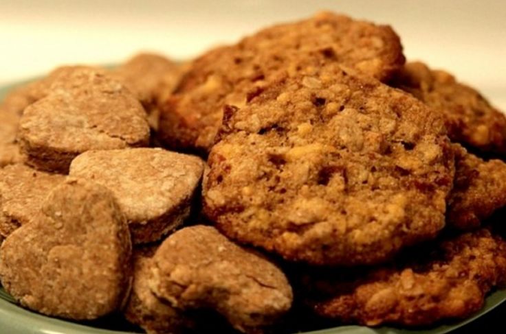Homemade dog food is very nutritious and has low levels of fat and sugar that can harm your dog
